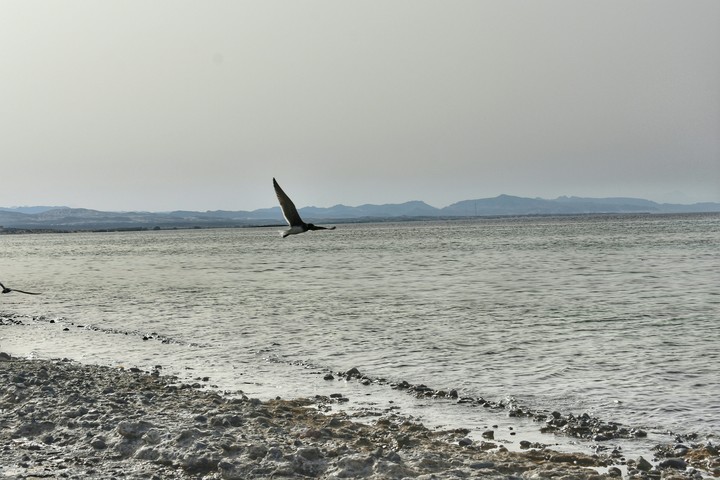 محمية وادي الجمال