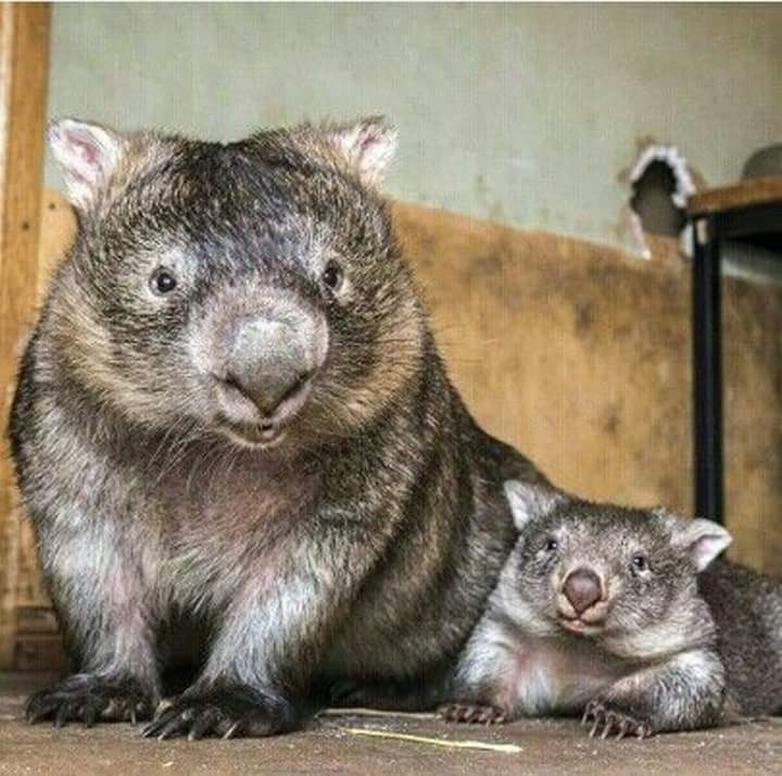 ☺️