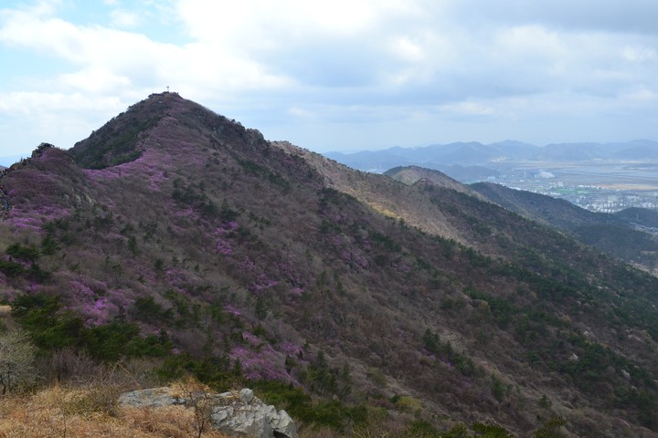 영취산이미지