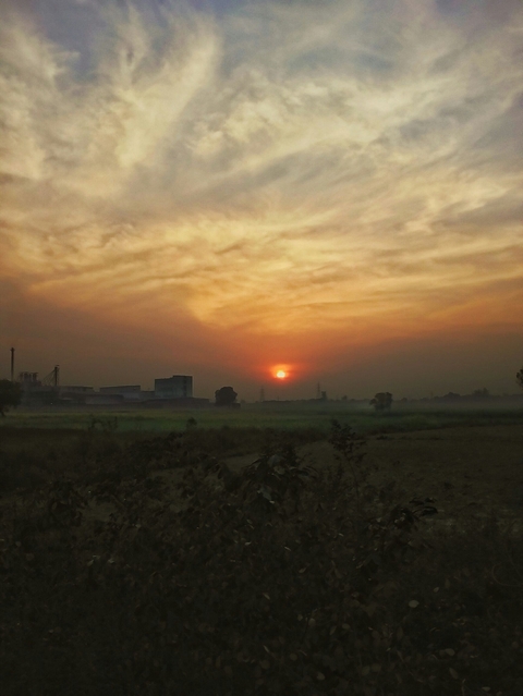 Beautiful Sunset