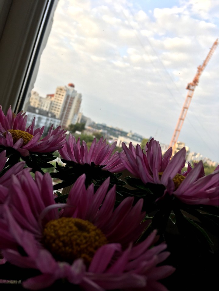 mom's flowers