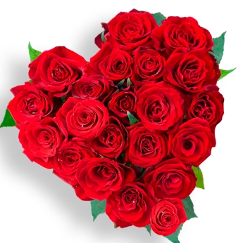 fiori a cuore