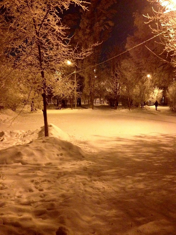 winter night