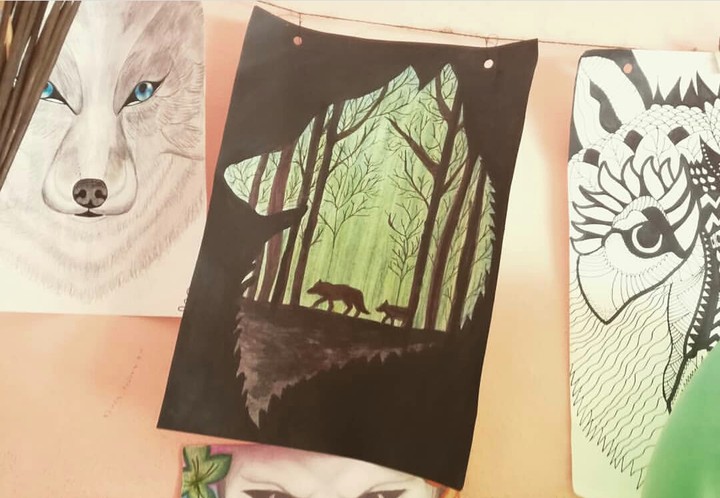 Mis Dibujos