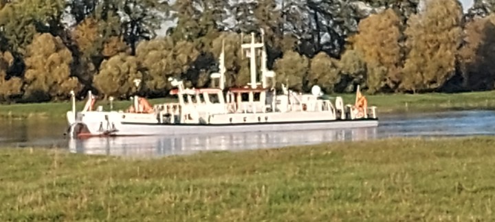 schiff