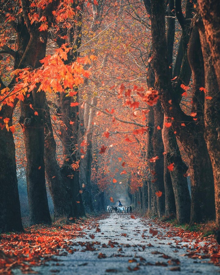 پاییز