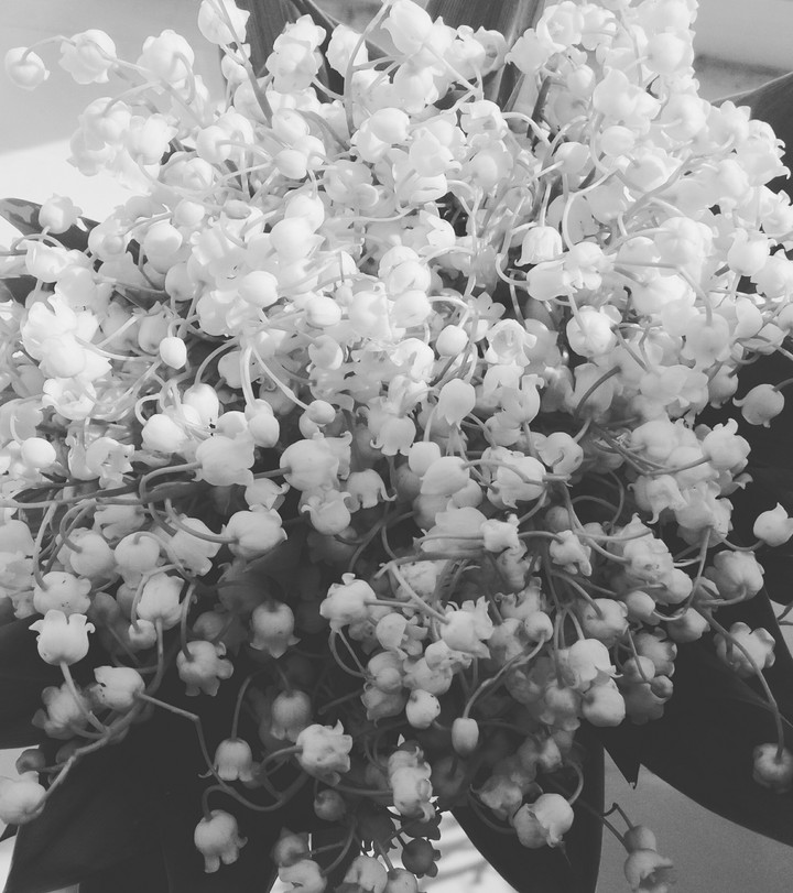 Lily-of-the-valley