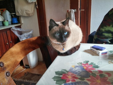 my beautifull friend.