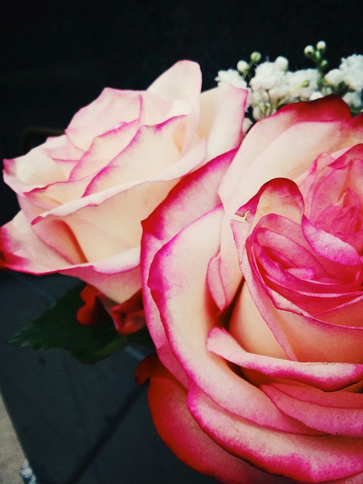 pink