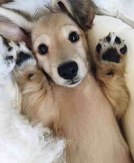 Hello!
