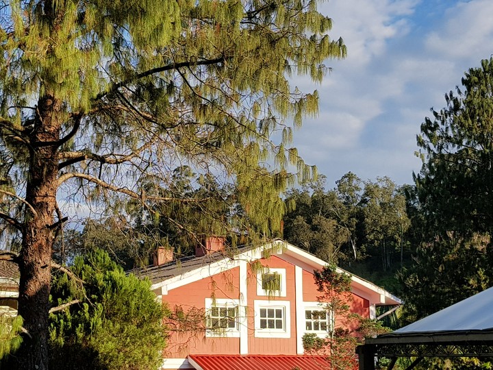 Penedo