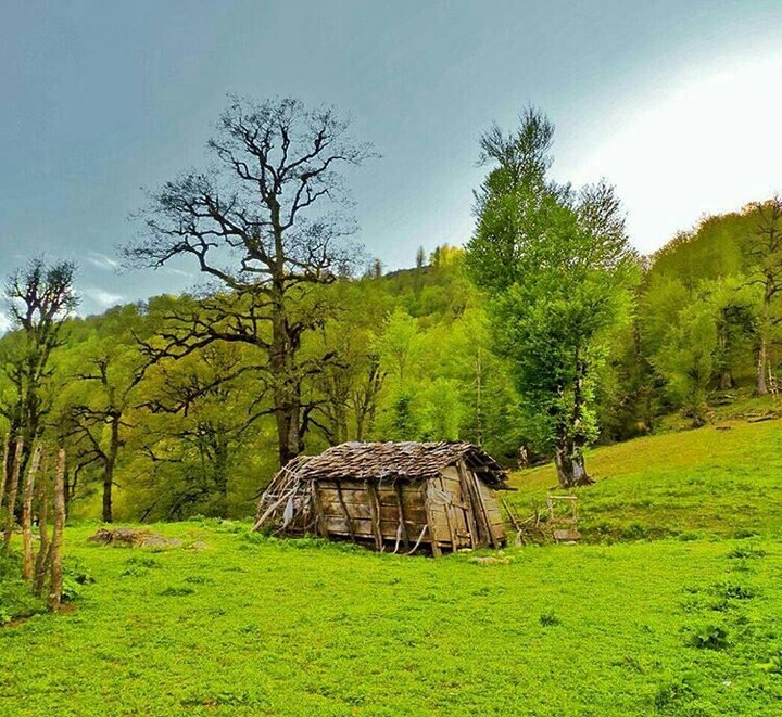 iran_gilan