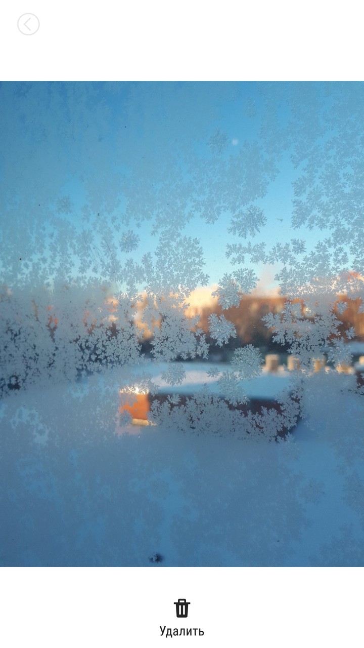 let it snow