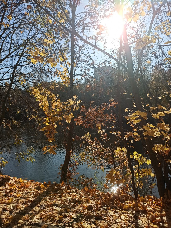 sunny day