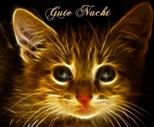 Gute Nacht