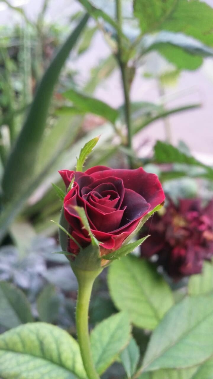 ❤