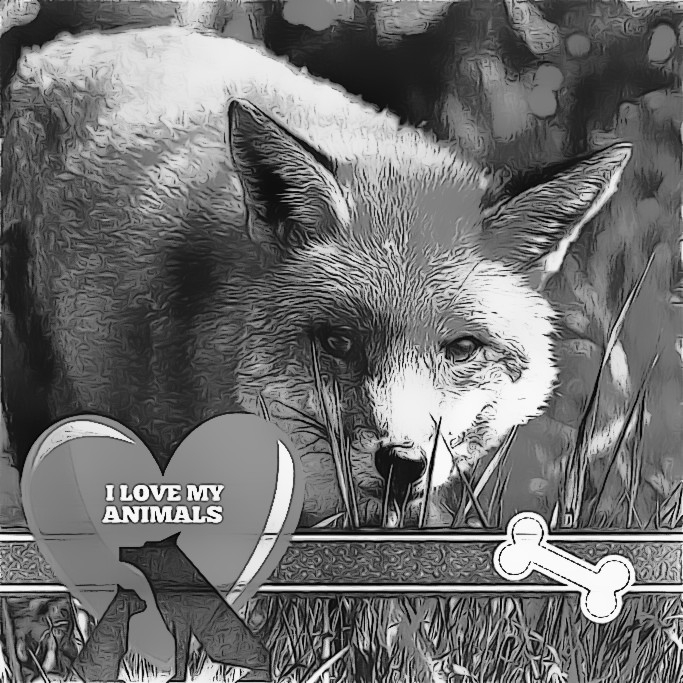 i love my animals