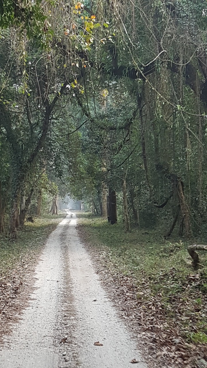 road to heaven