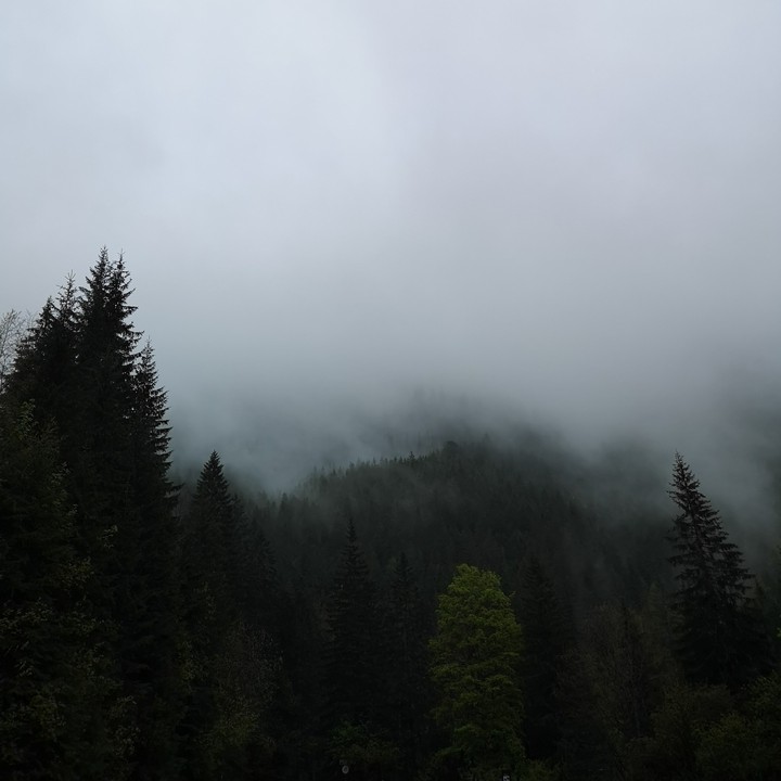 foggy mountains