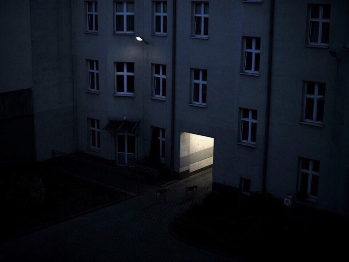 Ночной Дозор