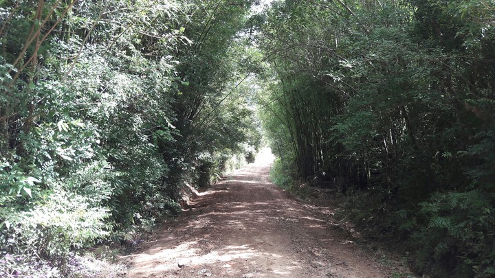 São Lourenço do Sul