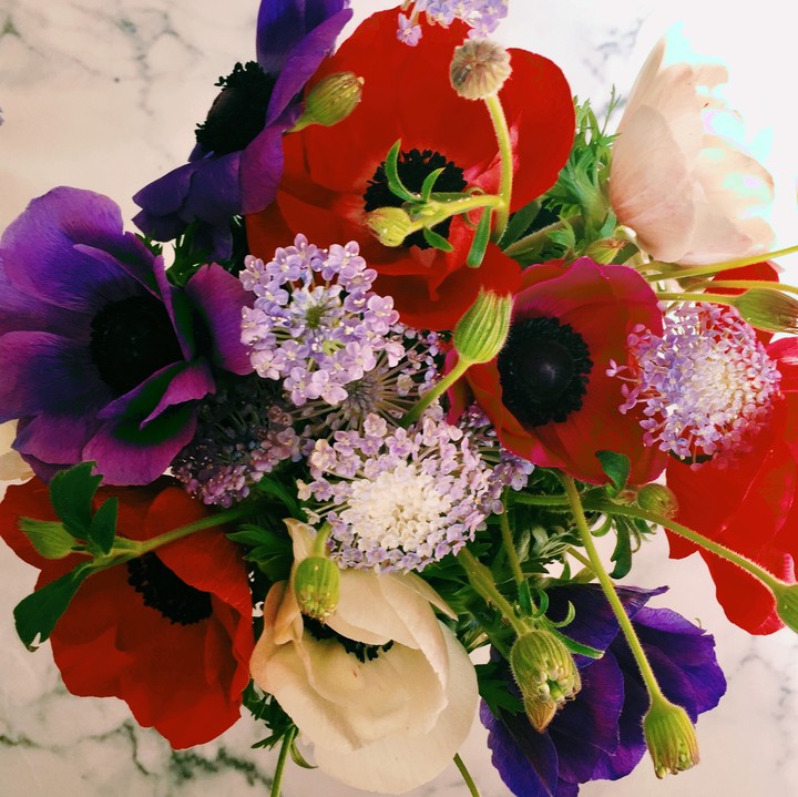 flowers/花/hana