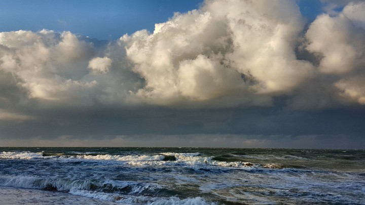 Sea1