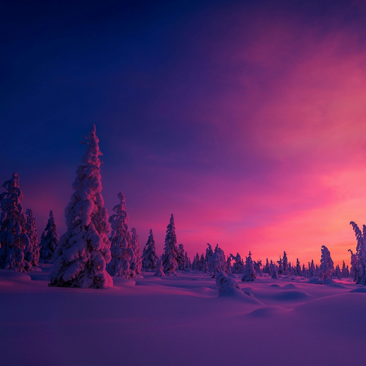 twilight