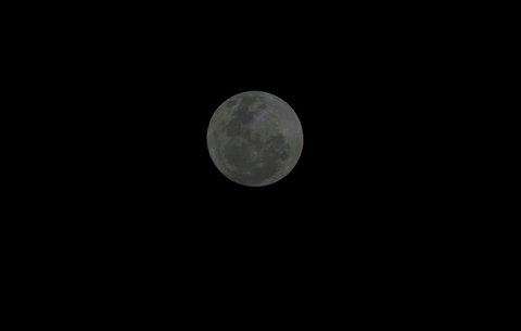 lua