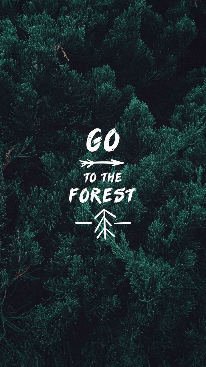 forest