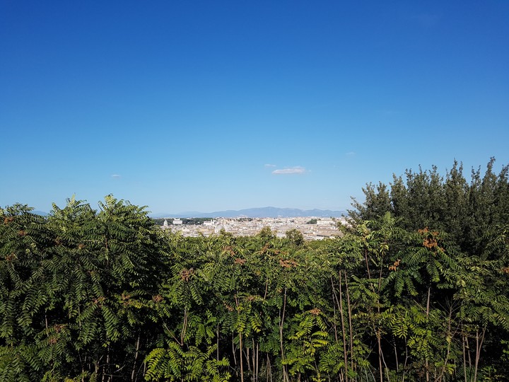 roma