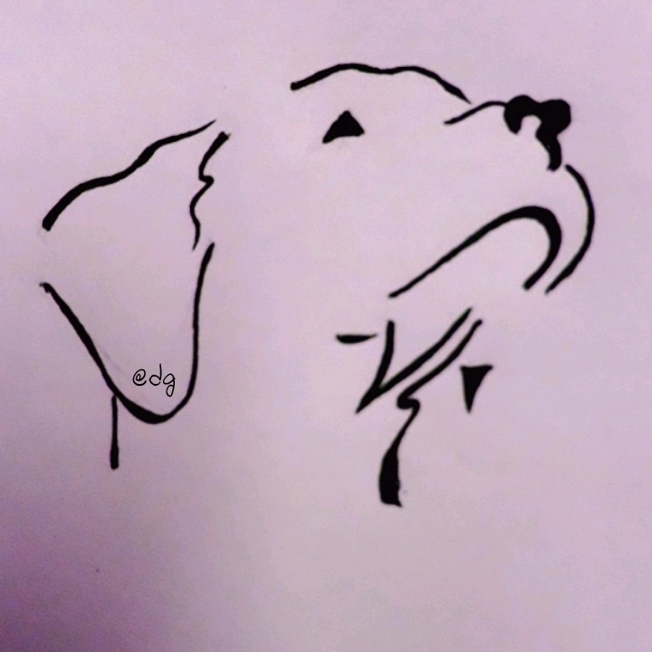 doggy