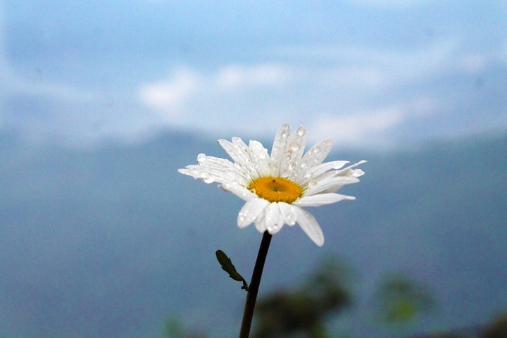 After the rain