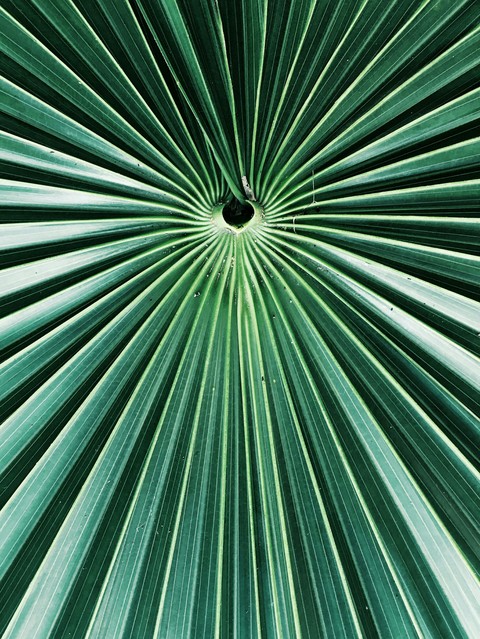 symmetry, pattern achtergronden