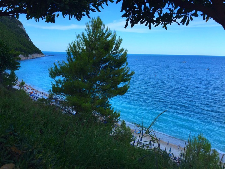 sea