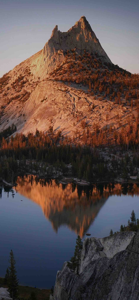 larch, mountain桌布