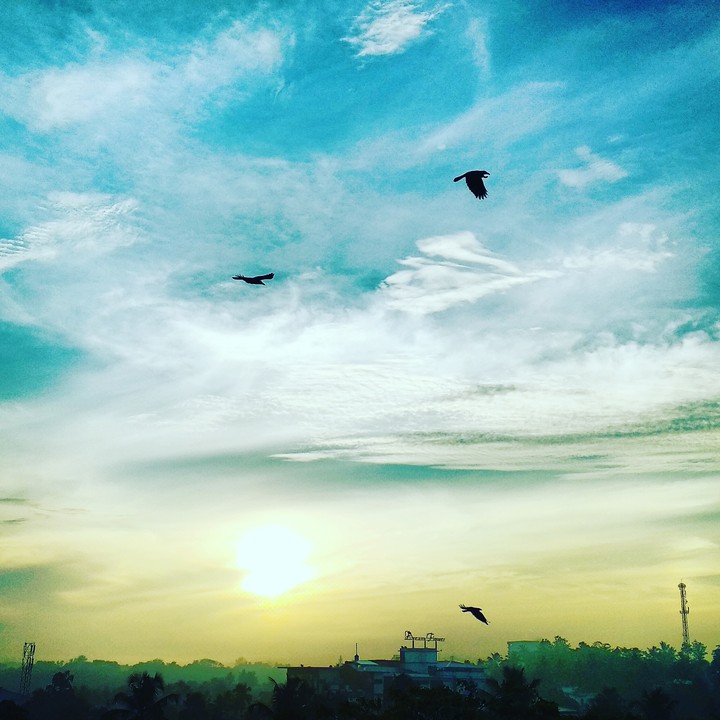 Fresh morning