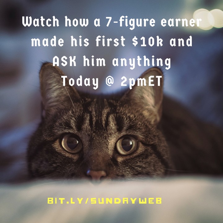Sunday Webinar 2Pm ET