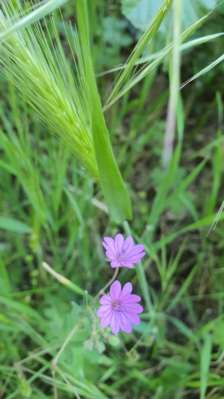 ?