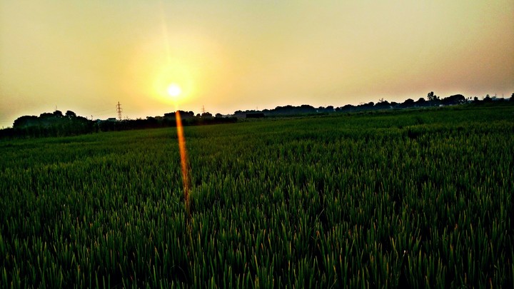 Evening