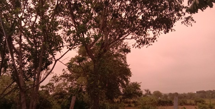 Cloudy Evening