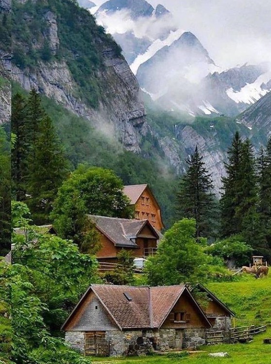 beautiful landscape