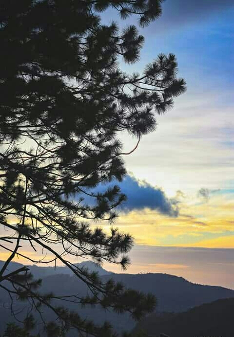 Evening  .   ....