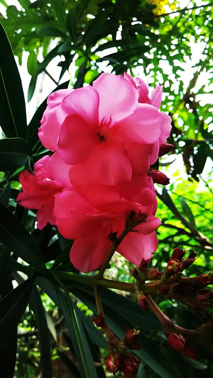 #summer
