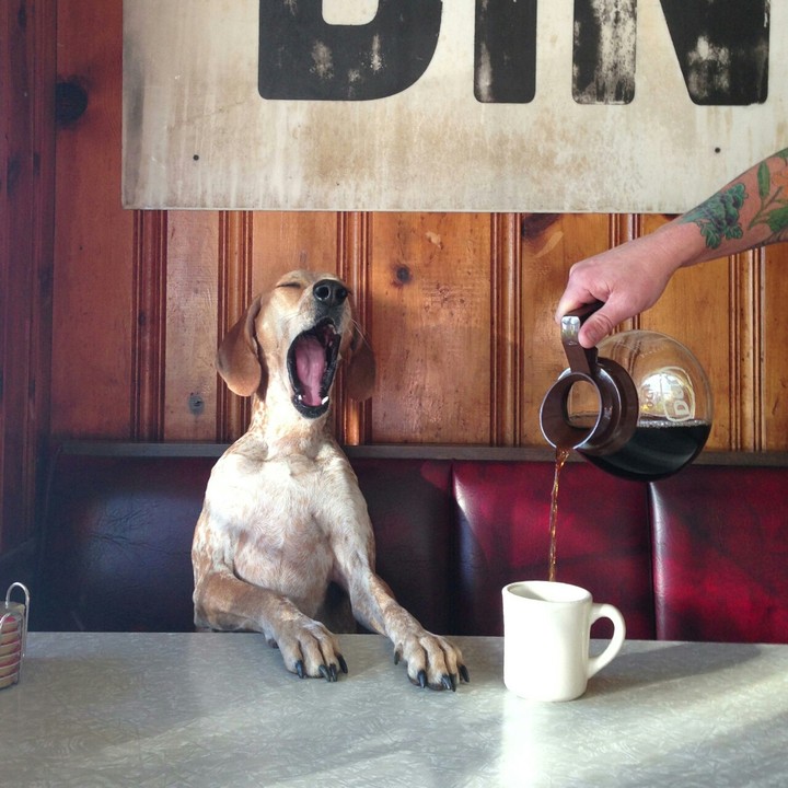 Need coffee ☕