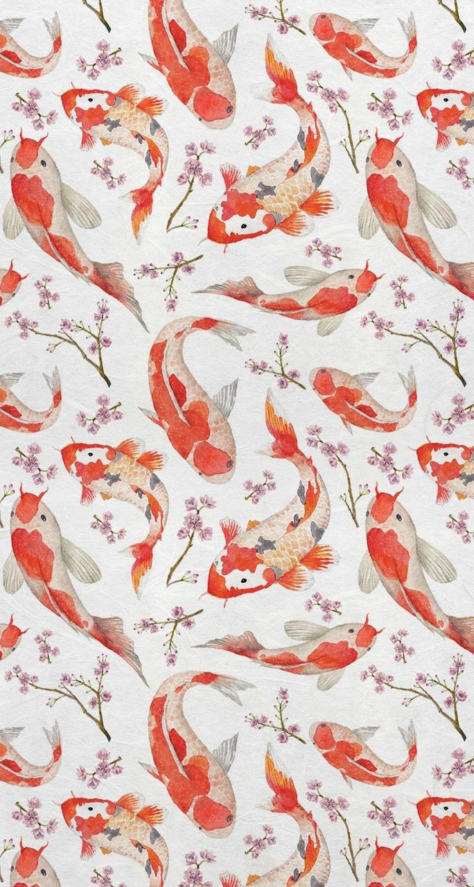 #koi