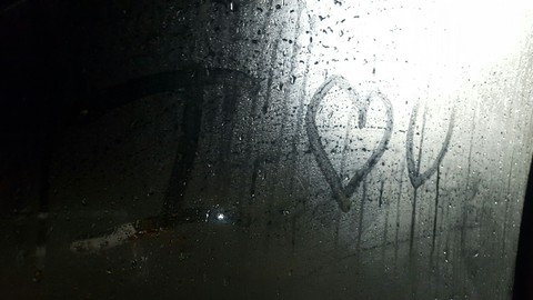 Rainey love