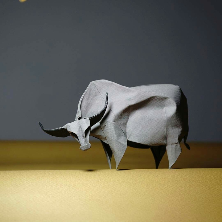 xfv