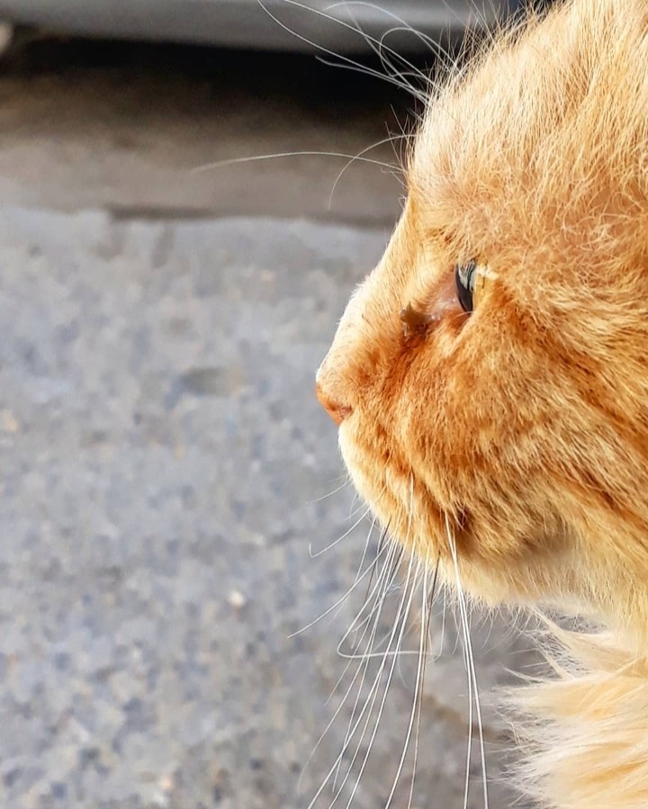staring
