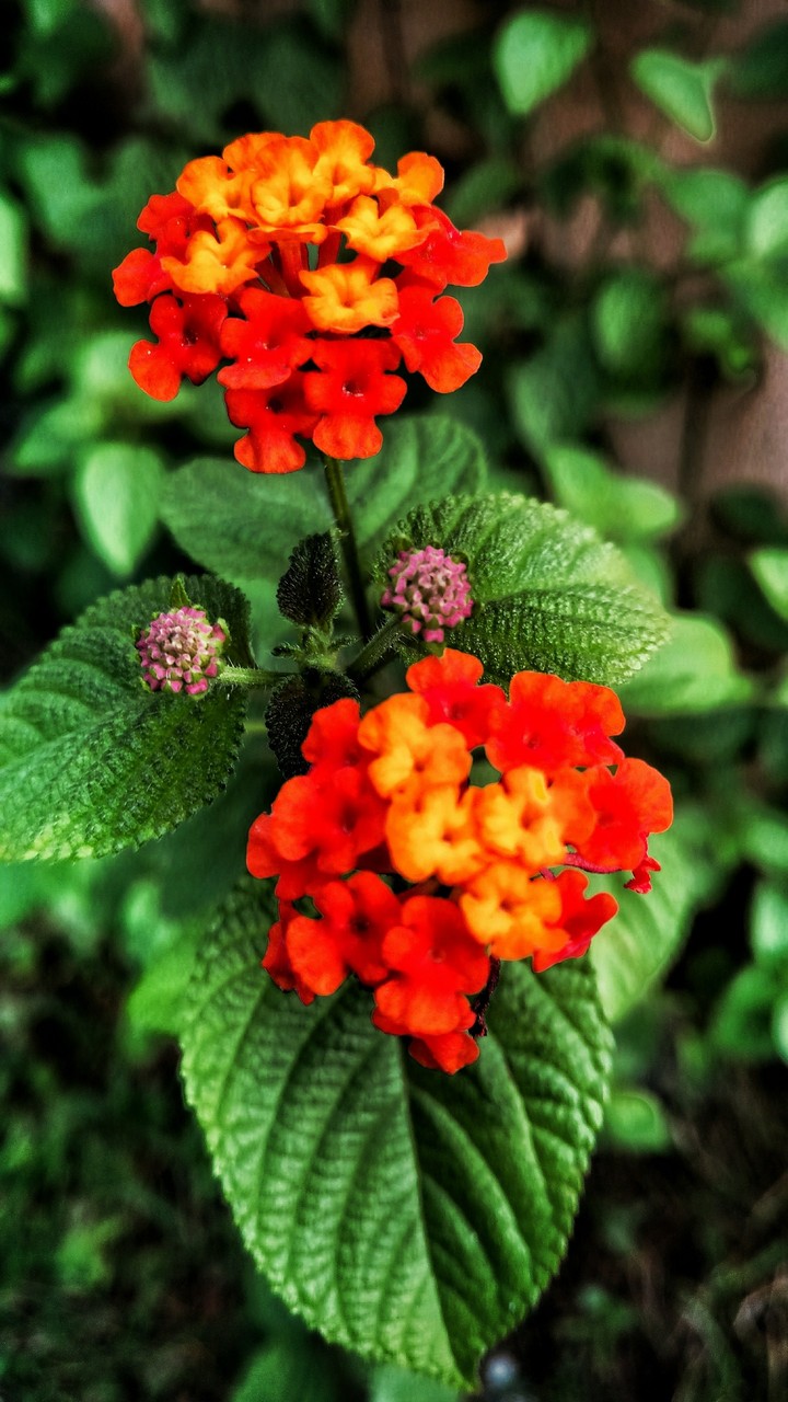 Bright and vibrant